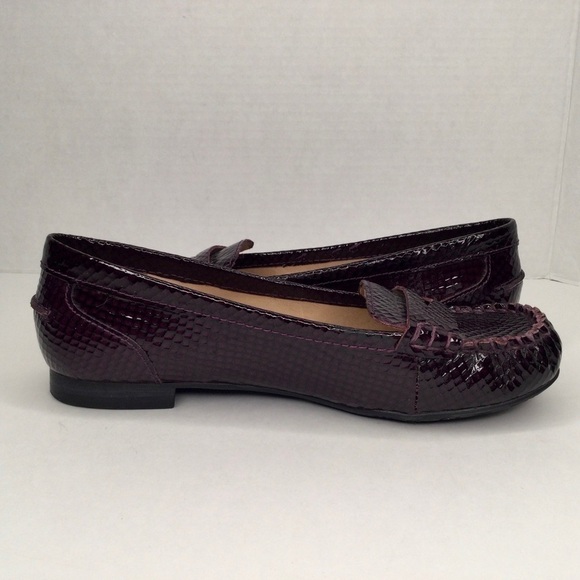 Arturo Chiang snake embossed gorgeous flats. - Picture 4 of 10